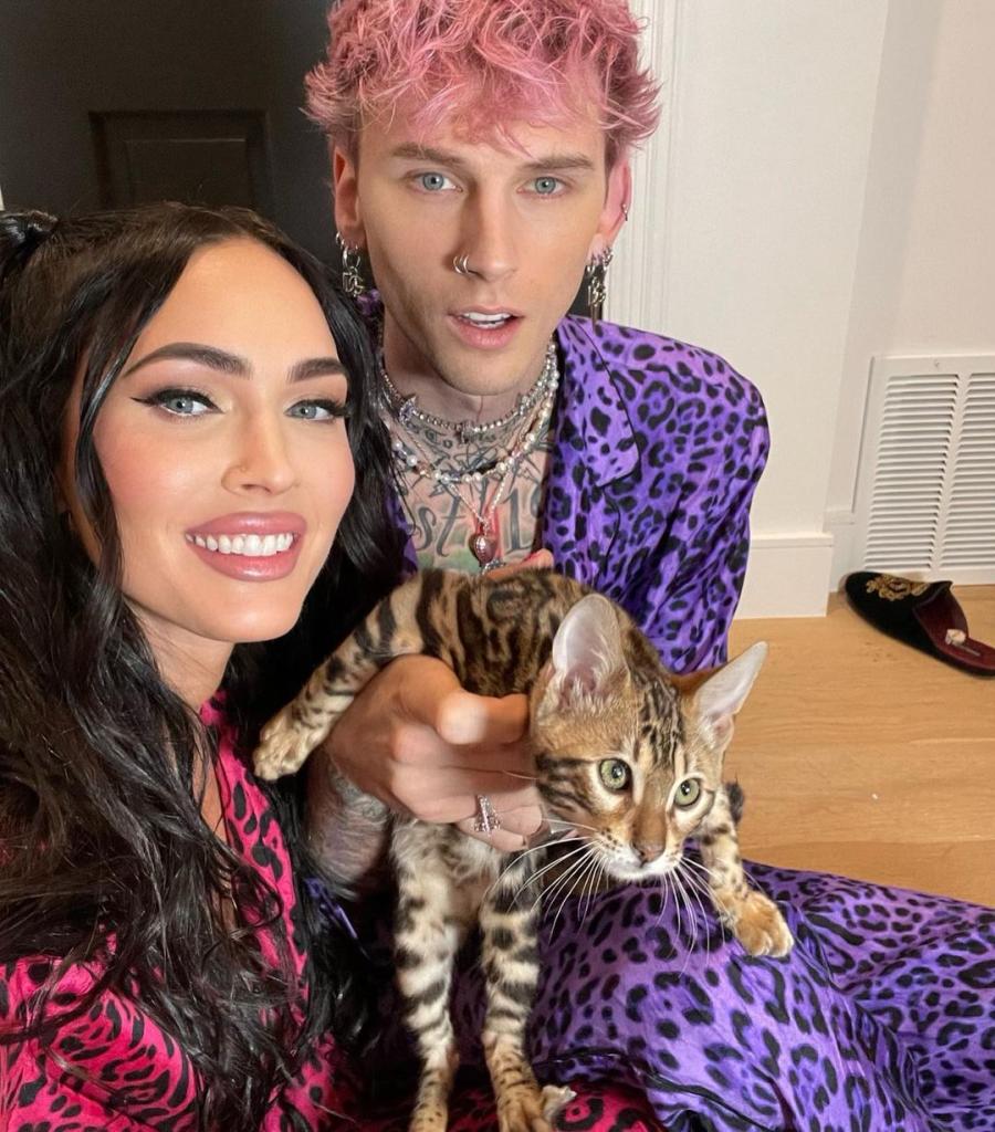 A selfie of Megan Fox and Machine Gun Kelly with their cat.