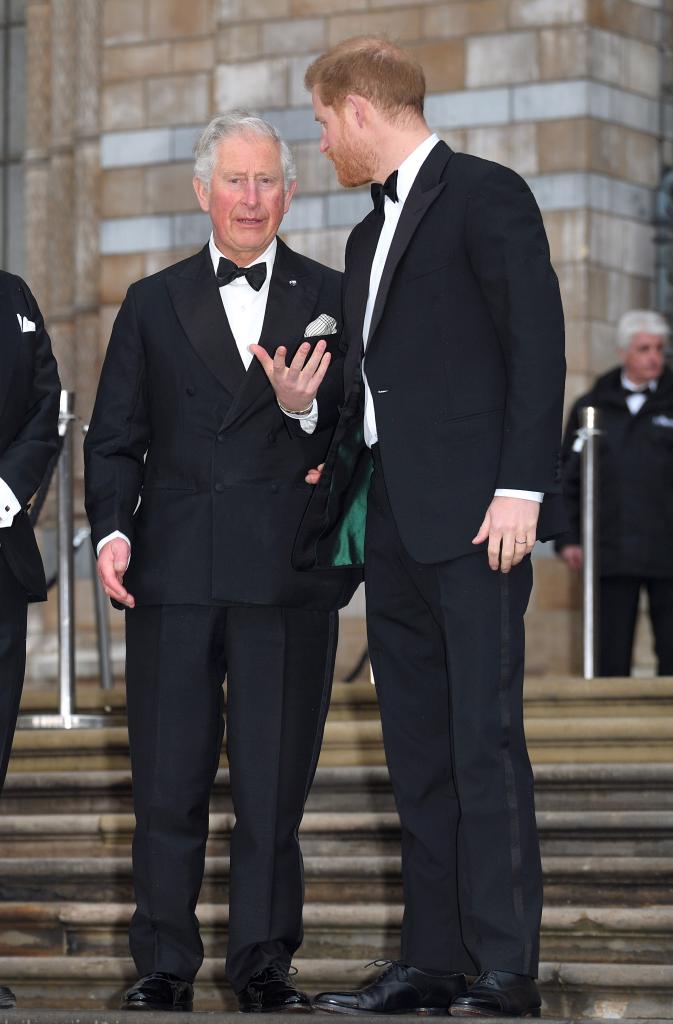 King Charles and Prince Harry speaking at an event in 2019.