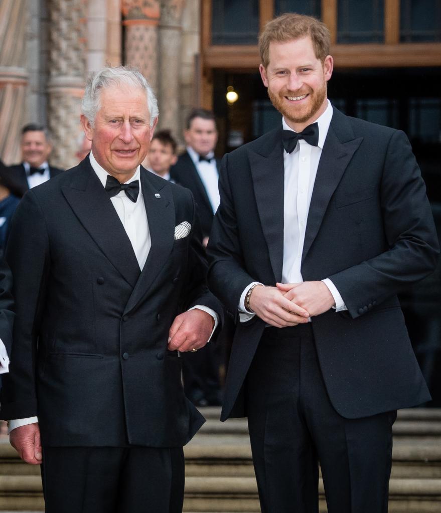King Charles and Prince Harry smile in suits