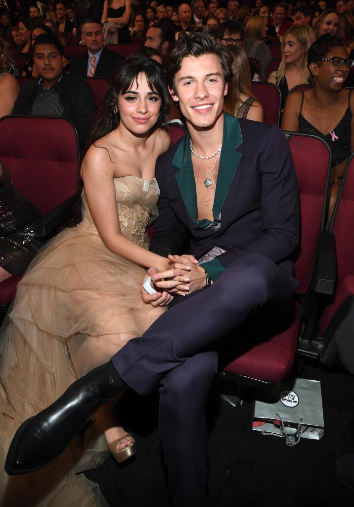 Shawn Mendes and Camilla Cabello sitting together at an awards show.