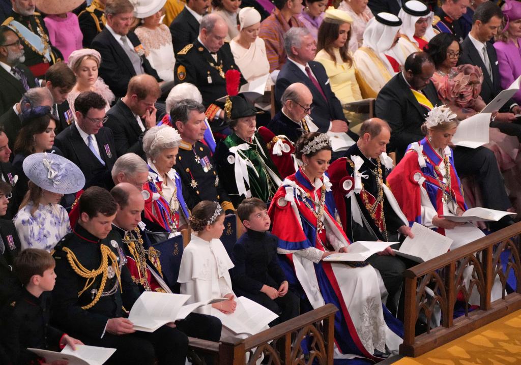 Prince Harry, Princess Anne and friends and family of the royals at King Charles' coronation.