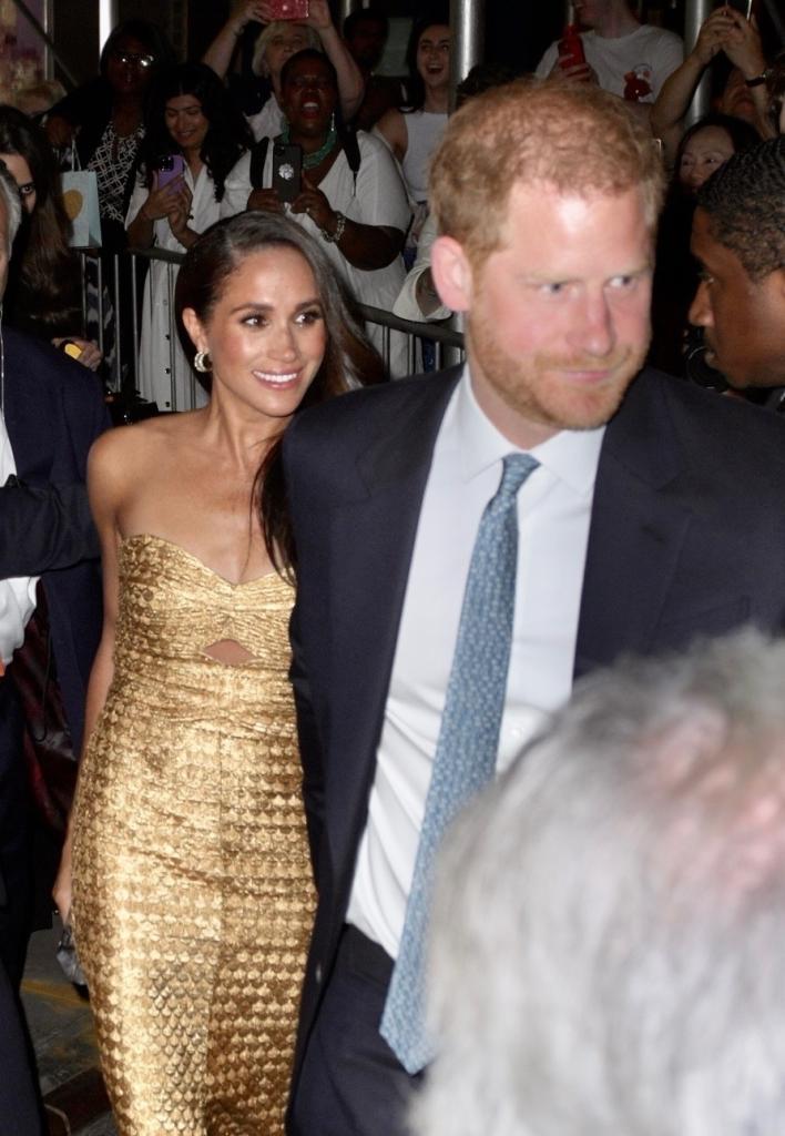 prince harry and meghan markle