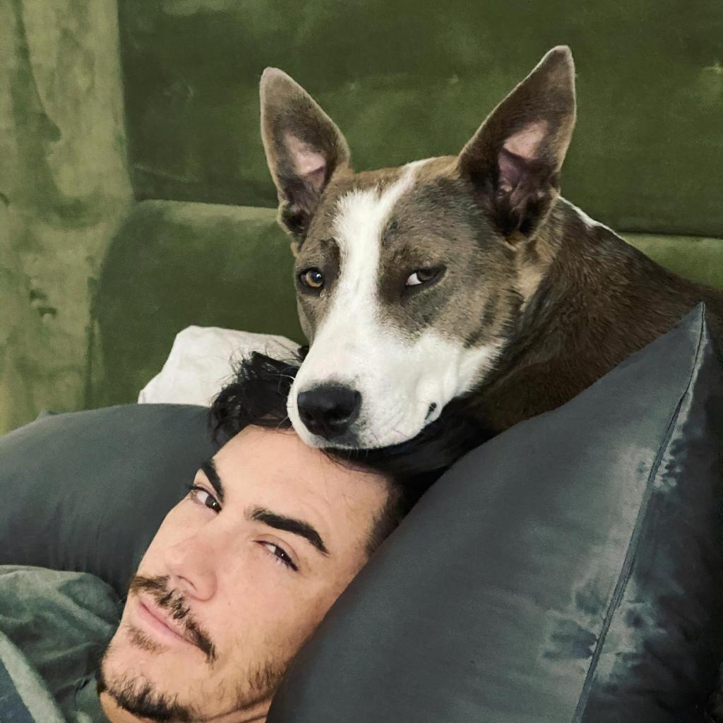 Tom Sandoval with Ariana Madix's dog Mya