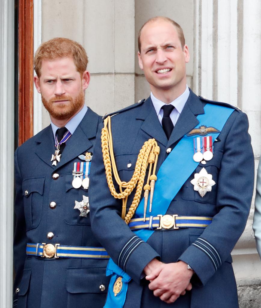 Photo of Prince William and Prince Harry in uniform
