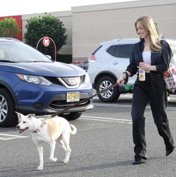 Back from her trip to Cannes, Sydney Sweeney is spotted shopping for Bai, while out with her dog, Tank. CREDIT: Joey Andrew