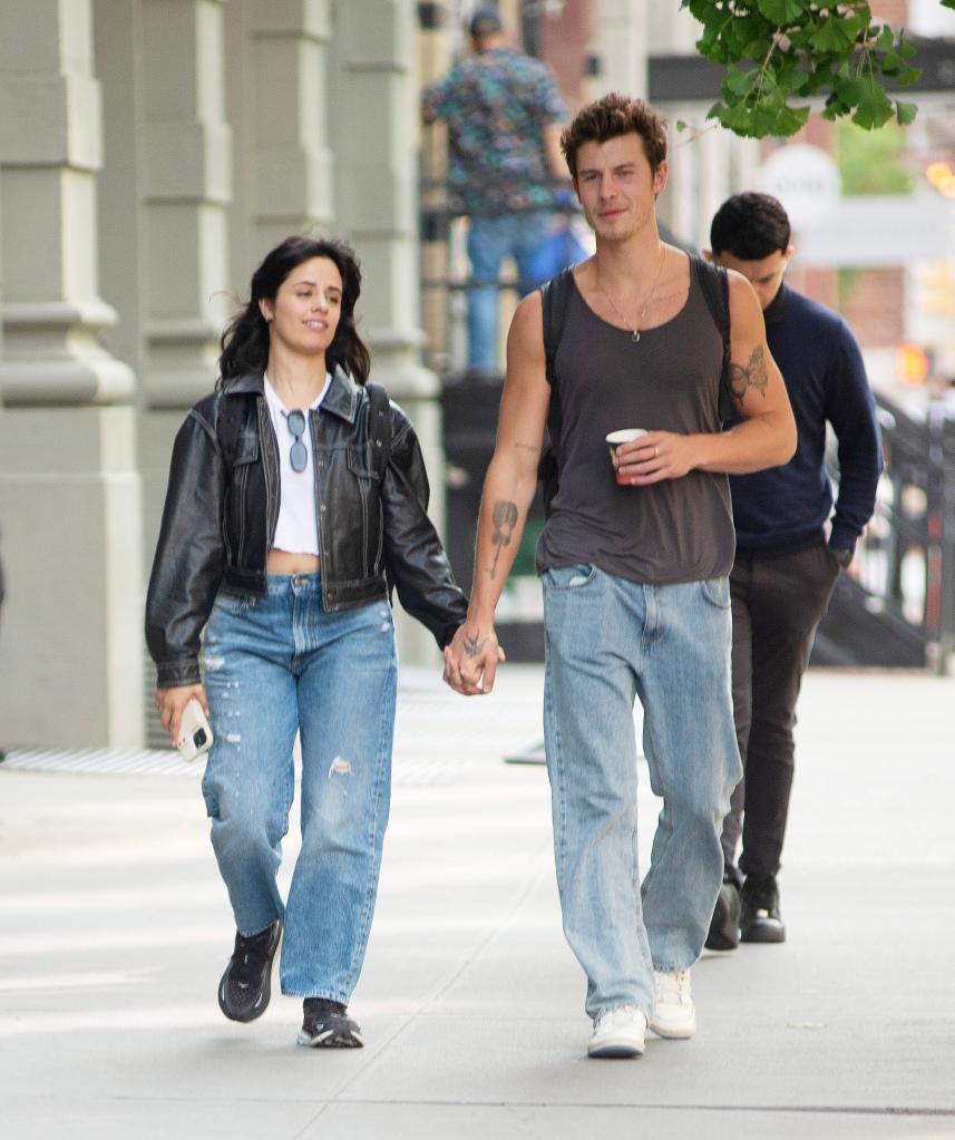 Shawn Mendes and Camilla Cabello holding hands in New York City.