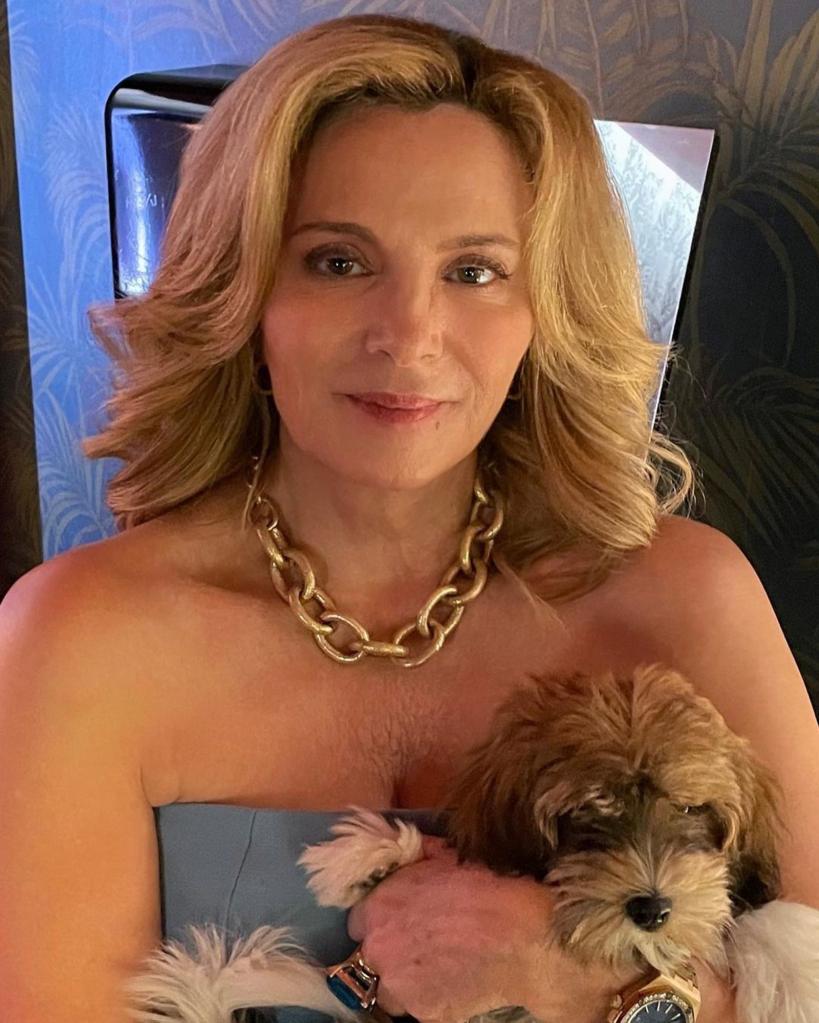 It was revealed last month that Cattrall's PR guru character Samantha Jones would be making a brief appearance in the reboot.