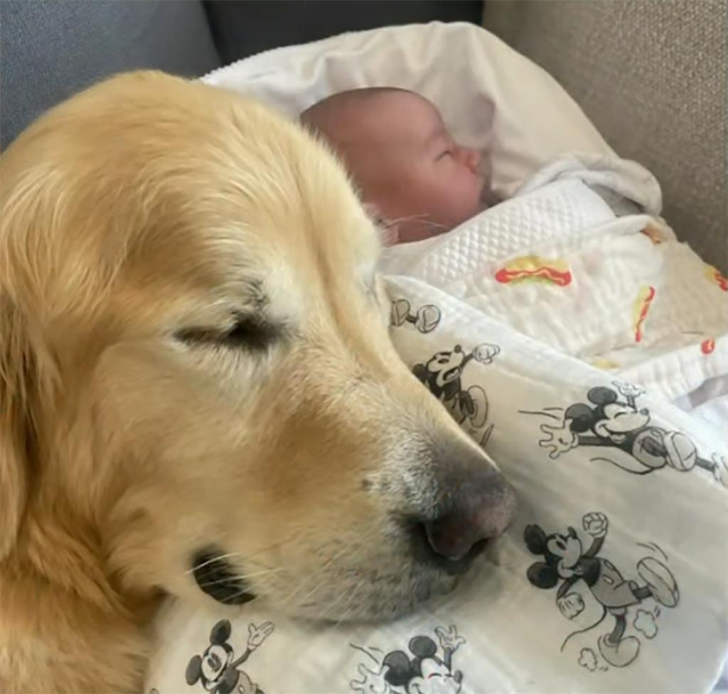 a baby with a dog resting its head on the blanket