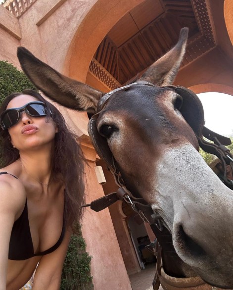 irina shayk and donkey selfie