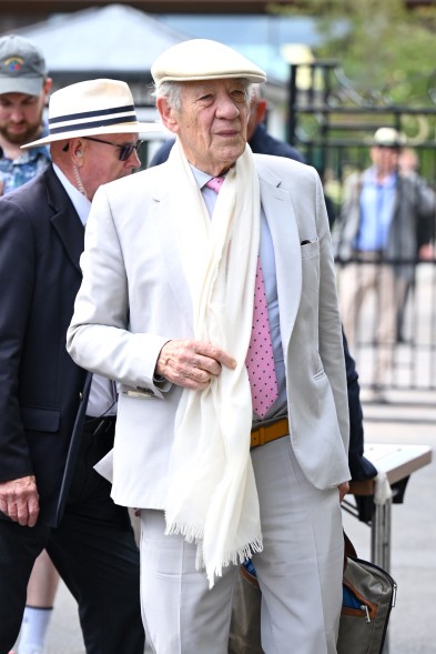 Sir Ian McKellen