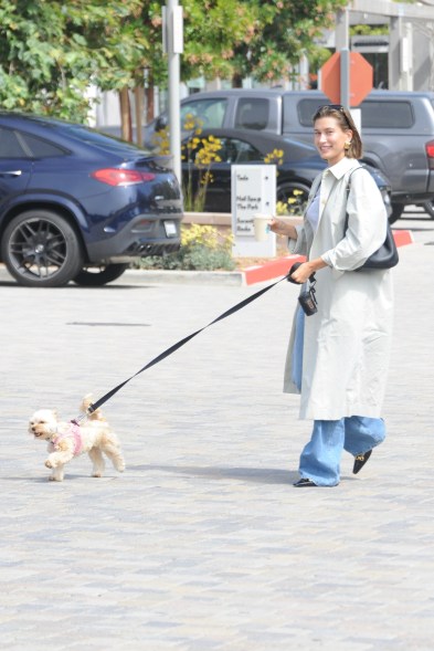 hailey bieber walking her dog