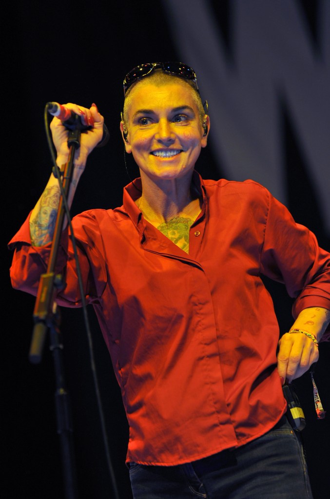 Sinéad O'Connor singing onstage.