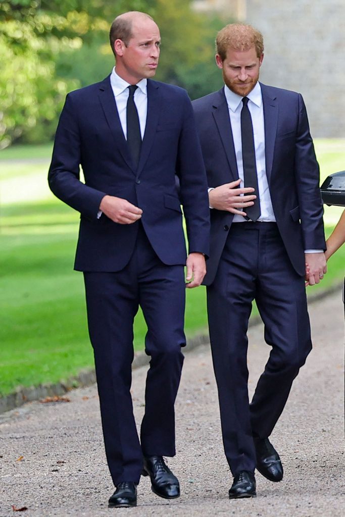 Prince Harry and Prince William. 