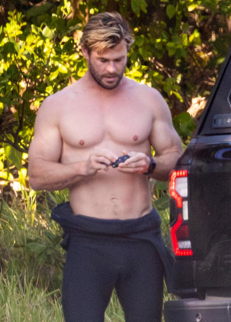 Chris Hemsworth shirtless.