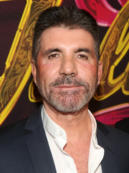 simon cowell 2022