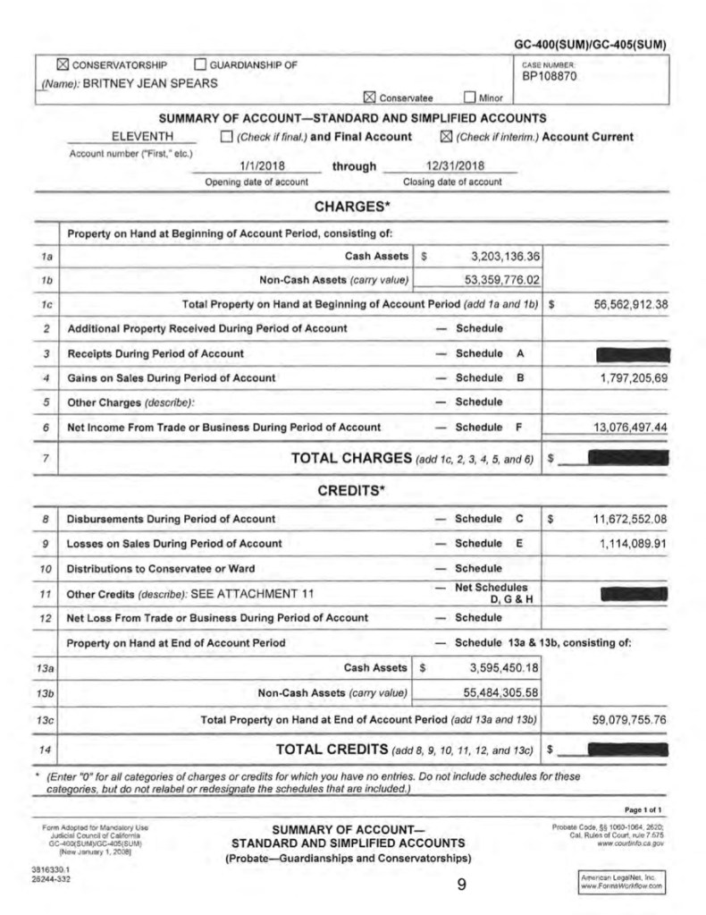 Documents showing Spears' finances