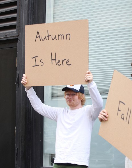 ed sheeran holding up an 'autumn is here' sign