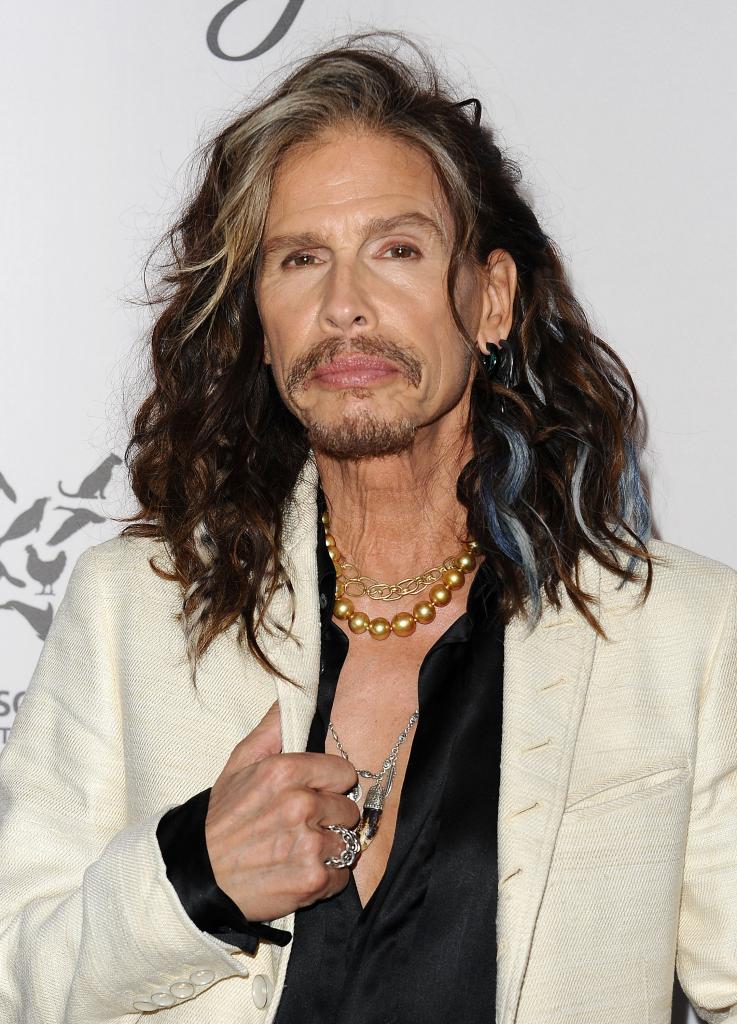 Steven Tyler at the Humane Society of The United States' To The Rescue gala in 2016.