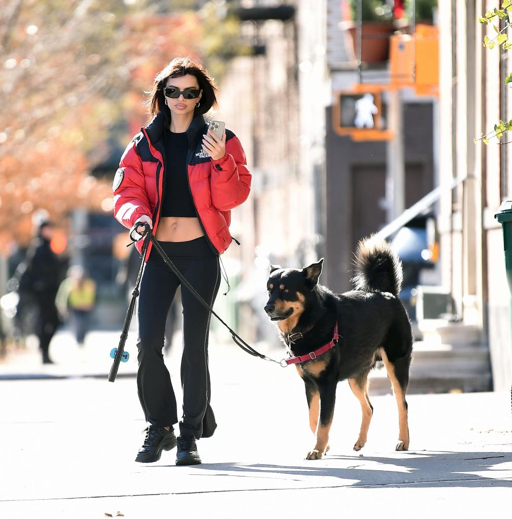 Emily Ratajkowski walking her dog