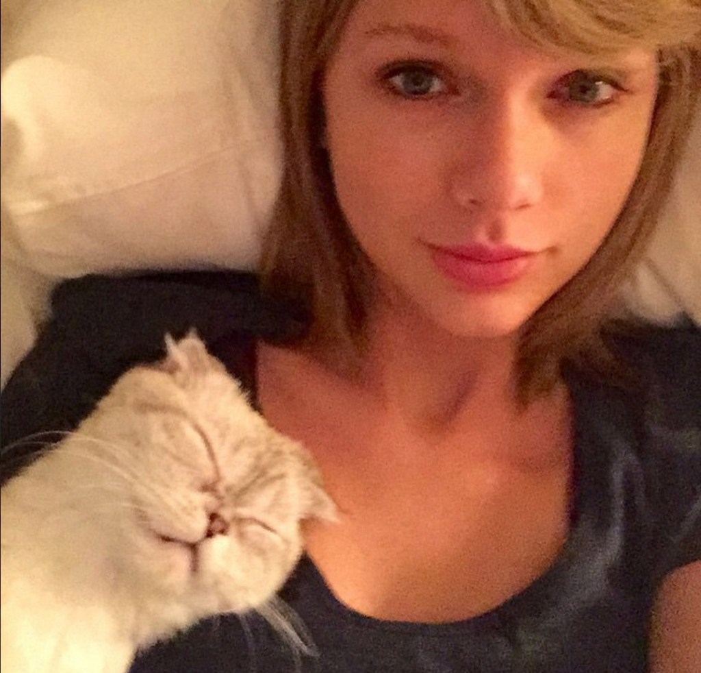 Taylor Swift and her cat