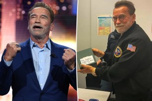 Arnold Schwarzenegger split image.