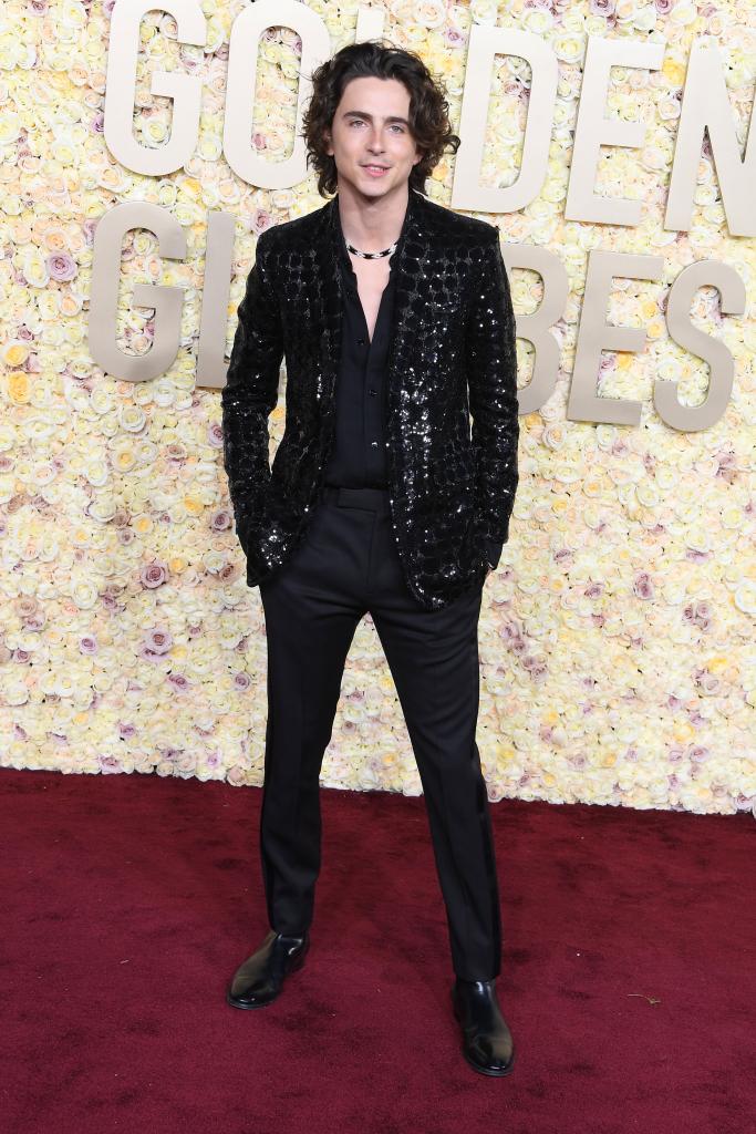 Timothee Chalamet attends the 81st Annual Golden Globe Awards at The Beverly Hilton on January 7, 2024 in Beverly Hills, California.