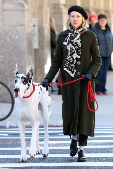 DANE-GEROUS GROUND: On the NYC set of her new movie “The Friend,” Naomi Watts and co-star Bing strut their stuff.