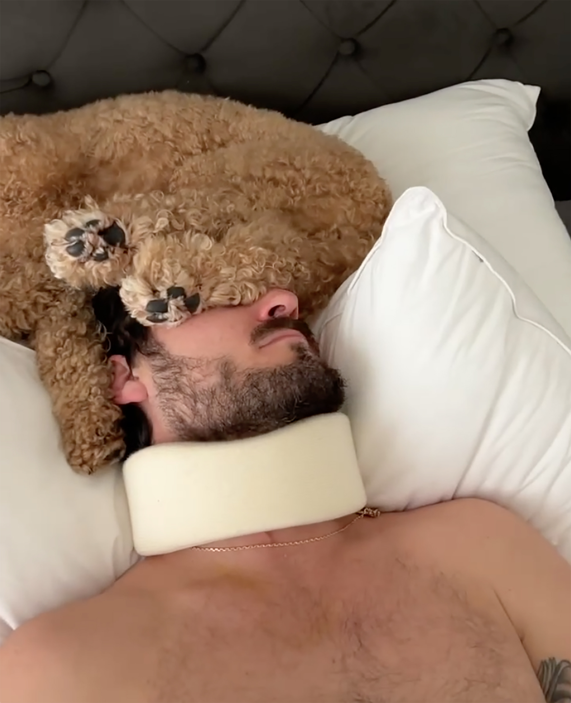 Val Chmerkovskiy with a dog snuggling