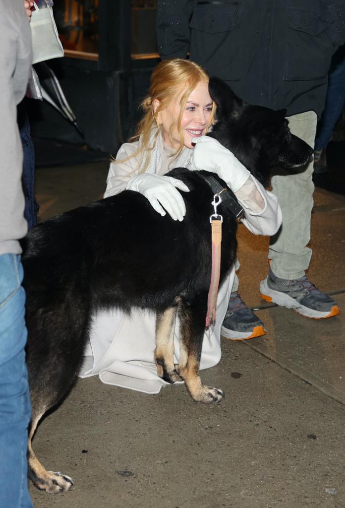 Nicole Kidman hugging a dog while filming a new movie.