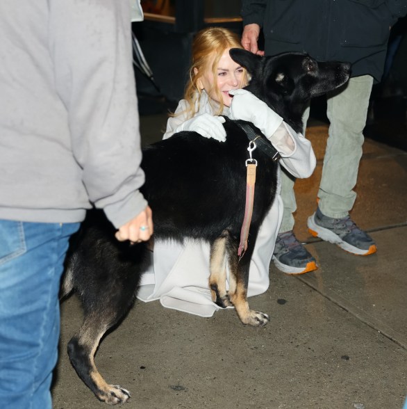 Nicole Kidman hugging a dog