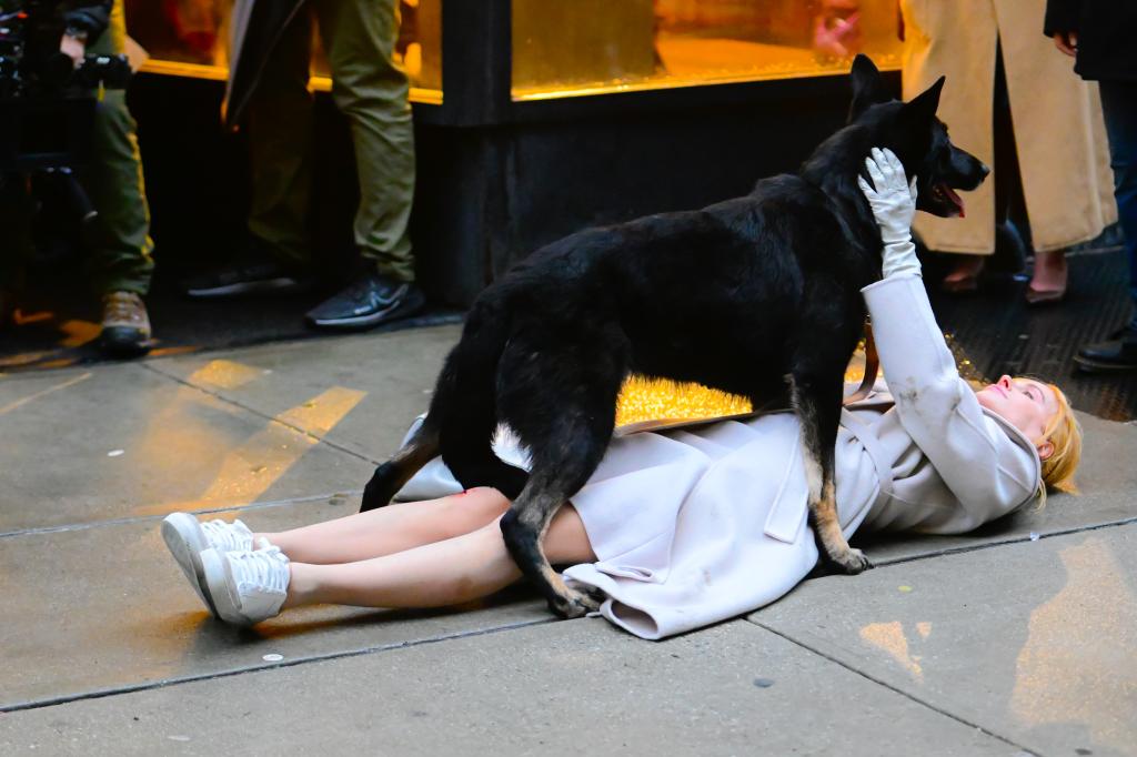 Nicole Kidman and a dog filming a new movie.