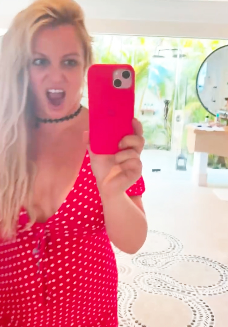 A mirror selfie of Britney Spears.