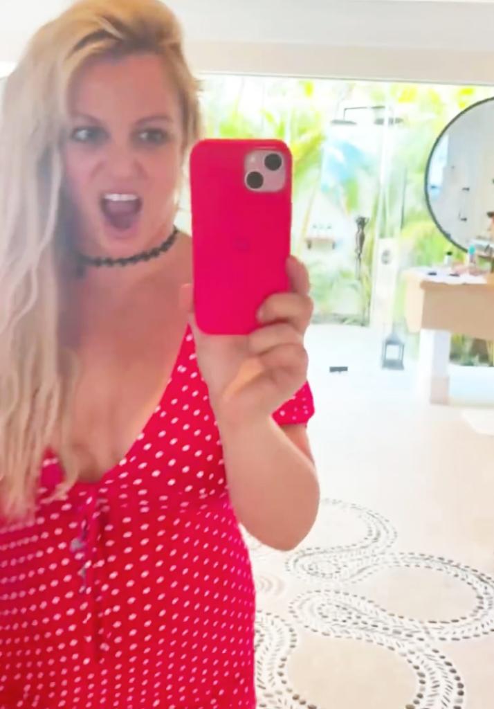A mirror selfie of Britney Spears.