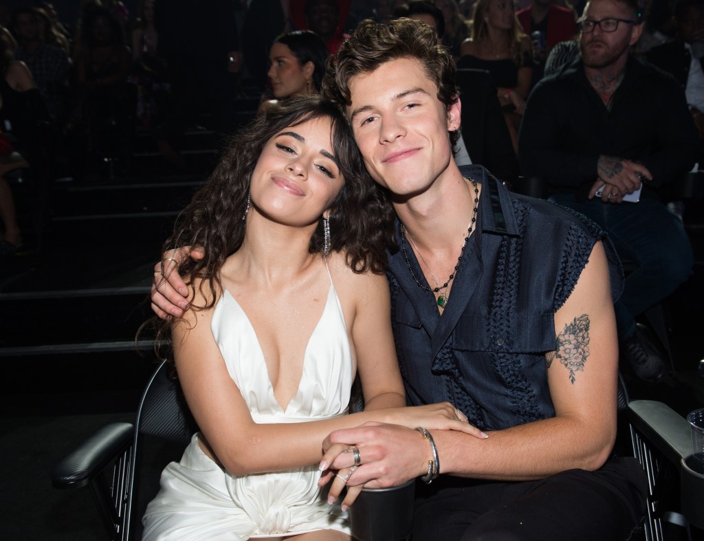 Camila Cabello and Shawn Mendes 