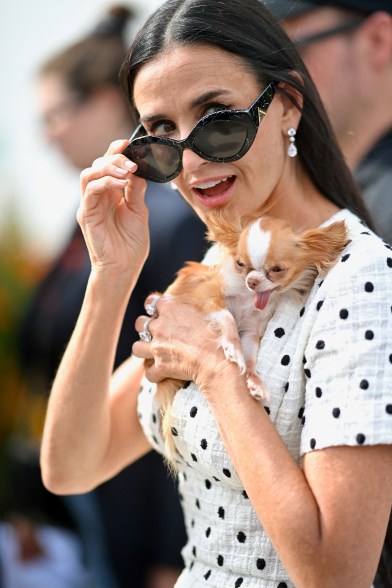 demi moore and her pup pilaf