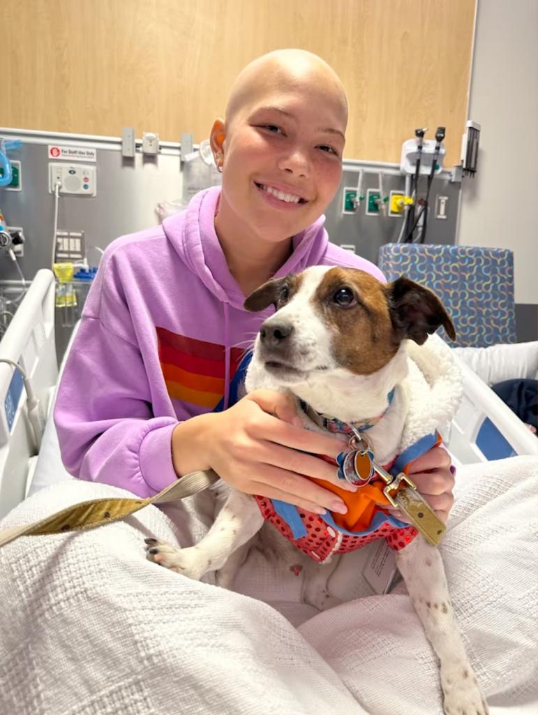 Isabella Strahan with a dog in the hospital.