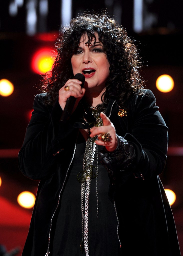 Ann Wilson onstage 