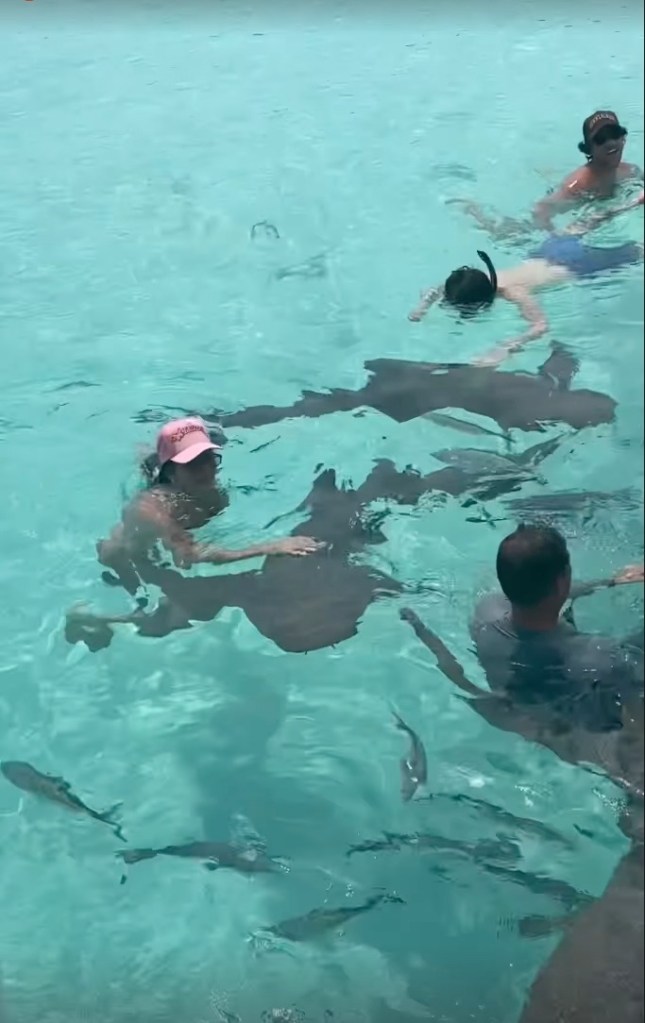 Anastasia Karanikolaou and friends snorkeling in an Instagram Story video Monday. 