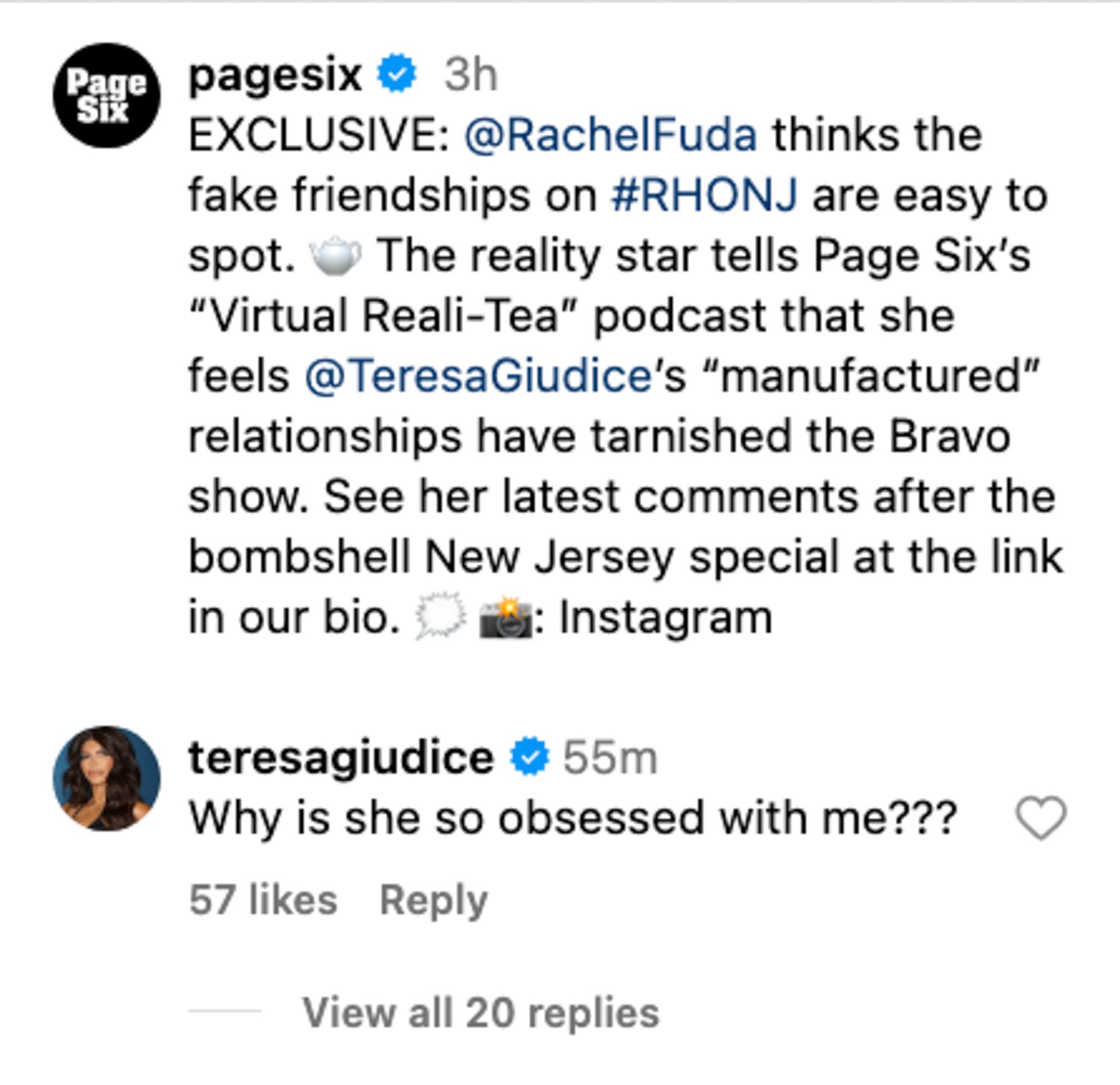 Teresa Giudice's comment on Page Six's Instagram post