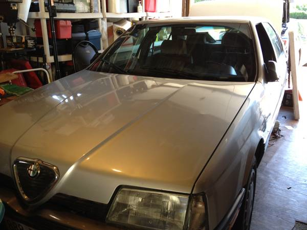 Greendale Craigslist Finds: Electric Car, Mini Pig