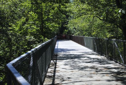 Bridge Lane Ravine Footbridge Comes Down Thursday