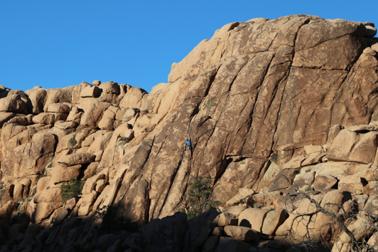 New Volunteers for Joshua Tree Search and Rescue to Meet Sunday Feb. 2