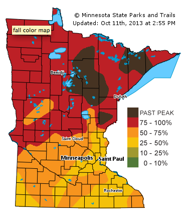 Radiant Leaf Colors Hitting The Fridley Area