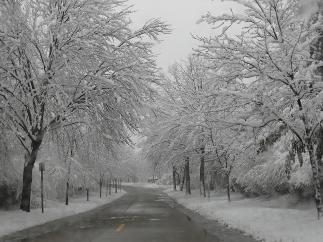 Summer to Winter in Today's Chesterfield Photo Contest Highlights