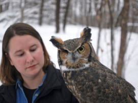 Visit the Owl, Summer Concert: Family Programs in Three Rivers Parks