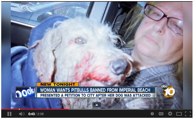 After Attack, IB Woman Wants Pit Bulls Banned from Local Beaches