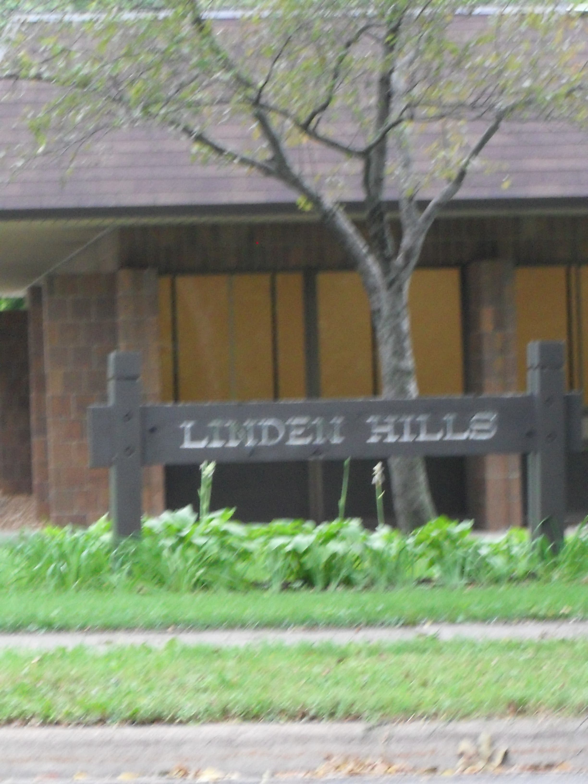 Linden Hills to Vote on $60,000 Neighborhood Plan Tuesday