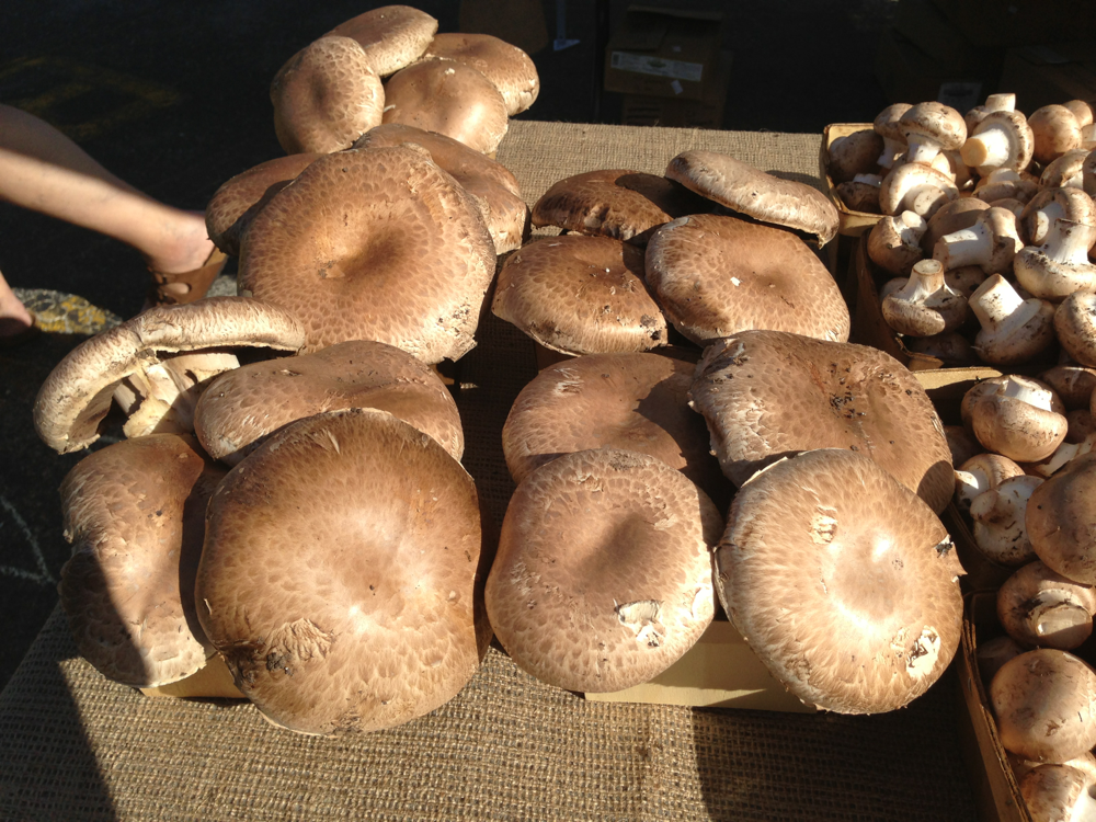 Folks Flock To Fox Point Farmers Market