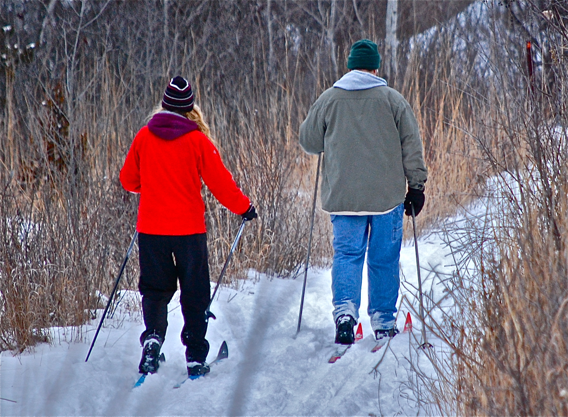 Saturday Is 11th Annual XC Ski Festival at Lake Elmo Park Reserve