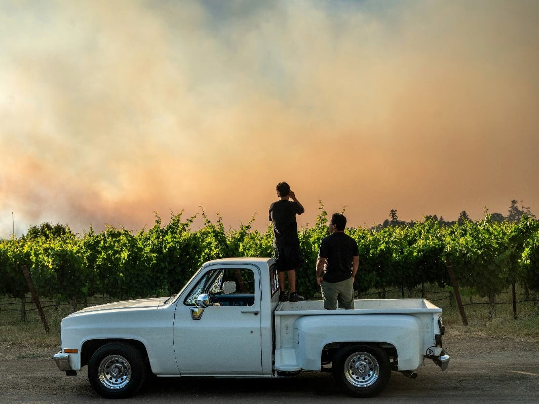 Men watch as the Point Fire burns over a vineyard near Healdsburg, Sunday, June 16, 2024.
